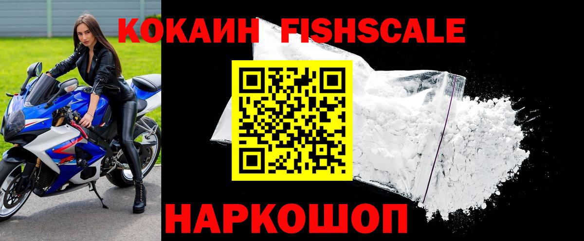 КОКАИН Fish Scale  Вход с VPN  Прохладный 