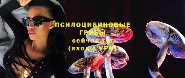 ПСИЛОЦИБИНОВЫЕ ГРИБЫ Покров