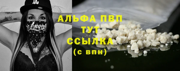 ПСИЛОЦИБИНОВЫЕ ГРИБЫ Покров