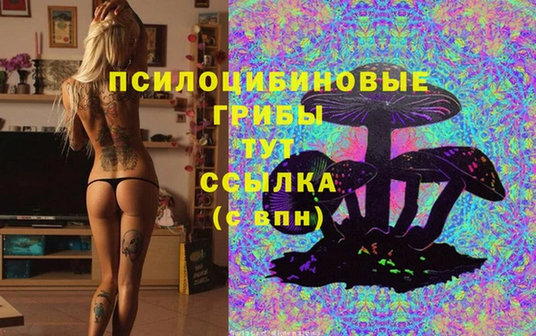 мескалин Покачи