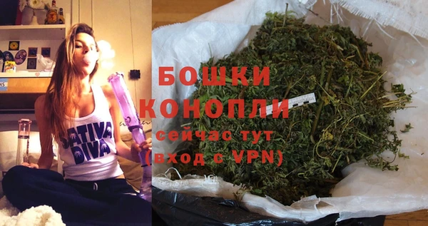 ПСИЛОЦИБИНОВЫЕ ГРИБЫ Покров