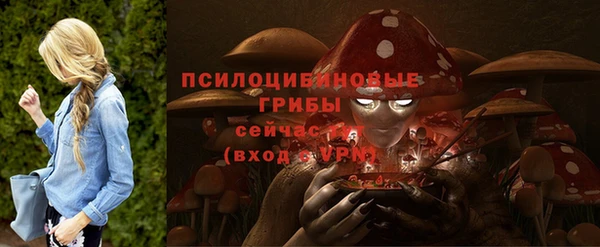 ПСИЛОЦИБИНОВЫЕ ГРИБЫ Покров