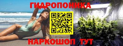 2c-b Будённовск