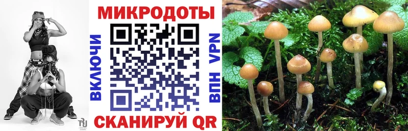 Галлюциногенные грибы Psilocybe  Прохладный 