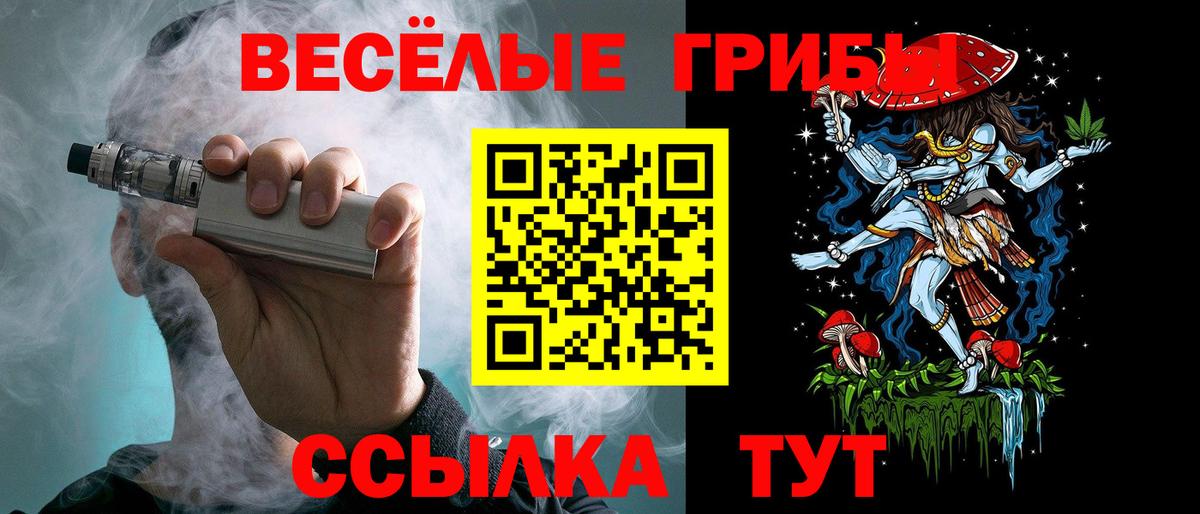 Галлюциногенные грибы Magic Shrooms  Вход с VPN  Прохладный 