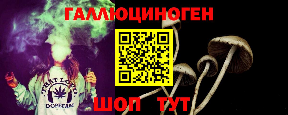 Галлюциногенные грибы ЛСД Прохладный