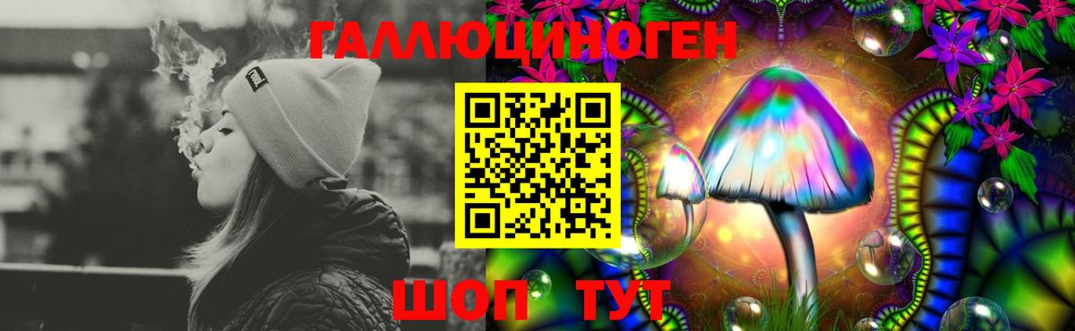 Галлюциногенные грибы мицелий  Прохладный 