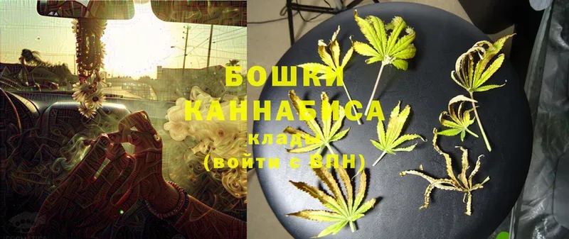 Бошки марихуана OG Kush  Прохладный 